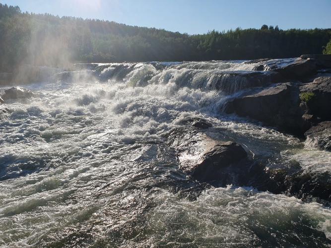 Neiden falls (one of several sections that were walked!)